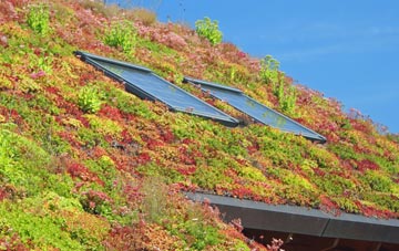 Chirk Bank living roof systems
